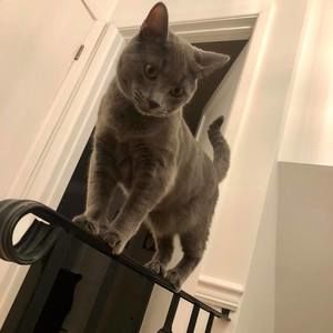 Meet your Posher, Ivan